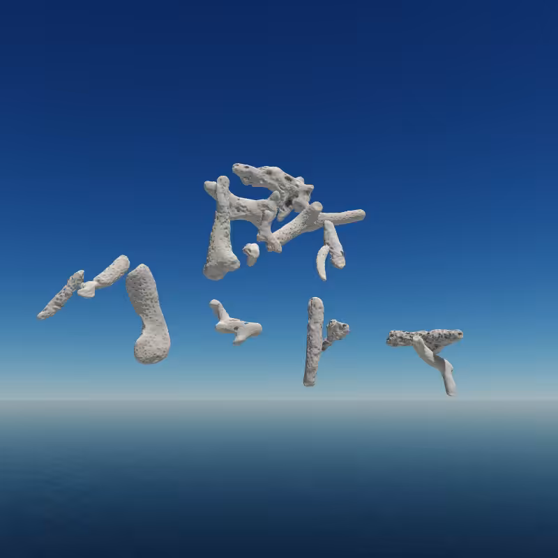Bone Work (Gulf of Mexico) 2022 #30