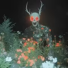 #51