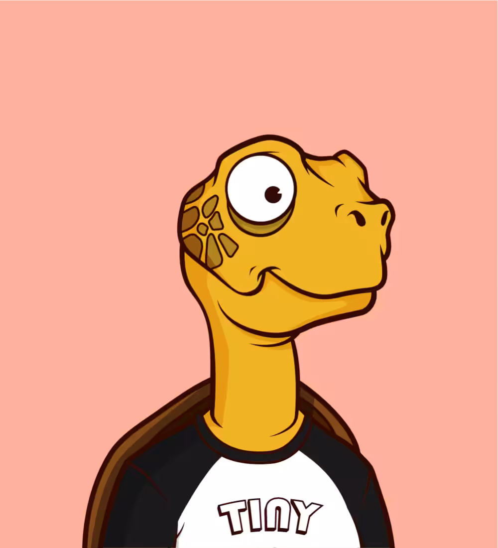 Tiny Turtle 218
