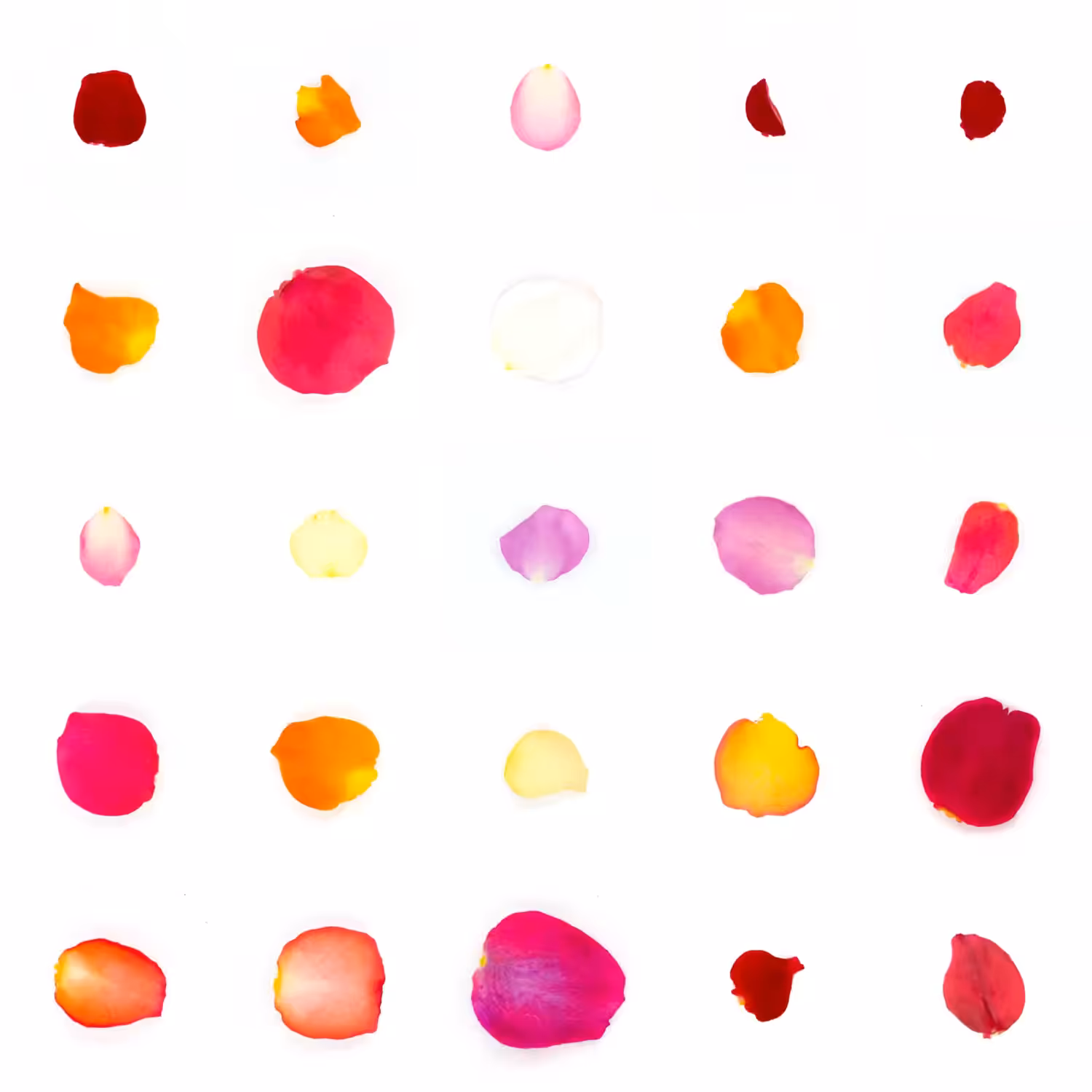 Infinite Petals 5x5#20168