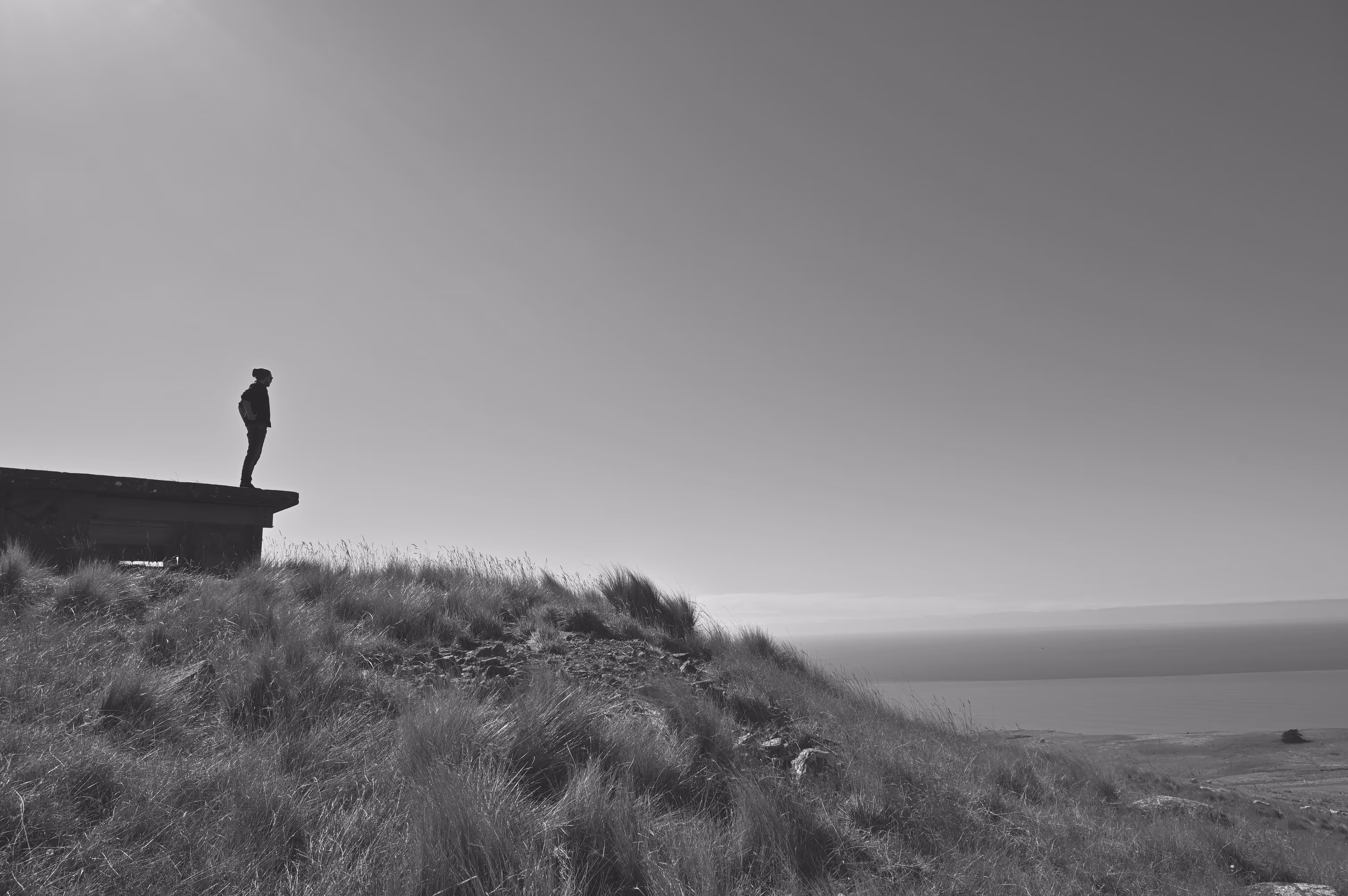 Te Hōkioi