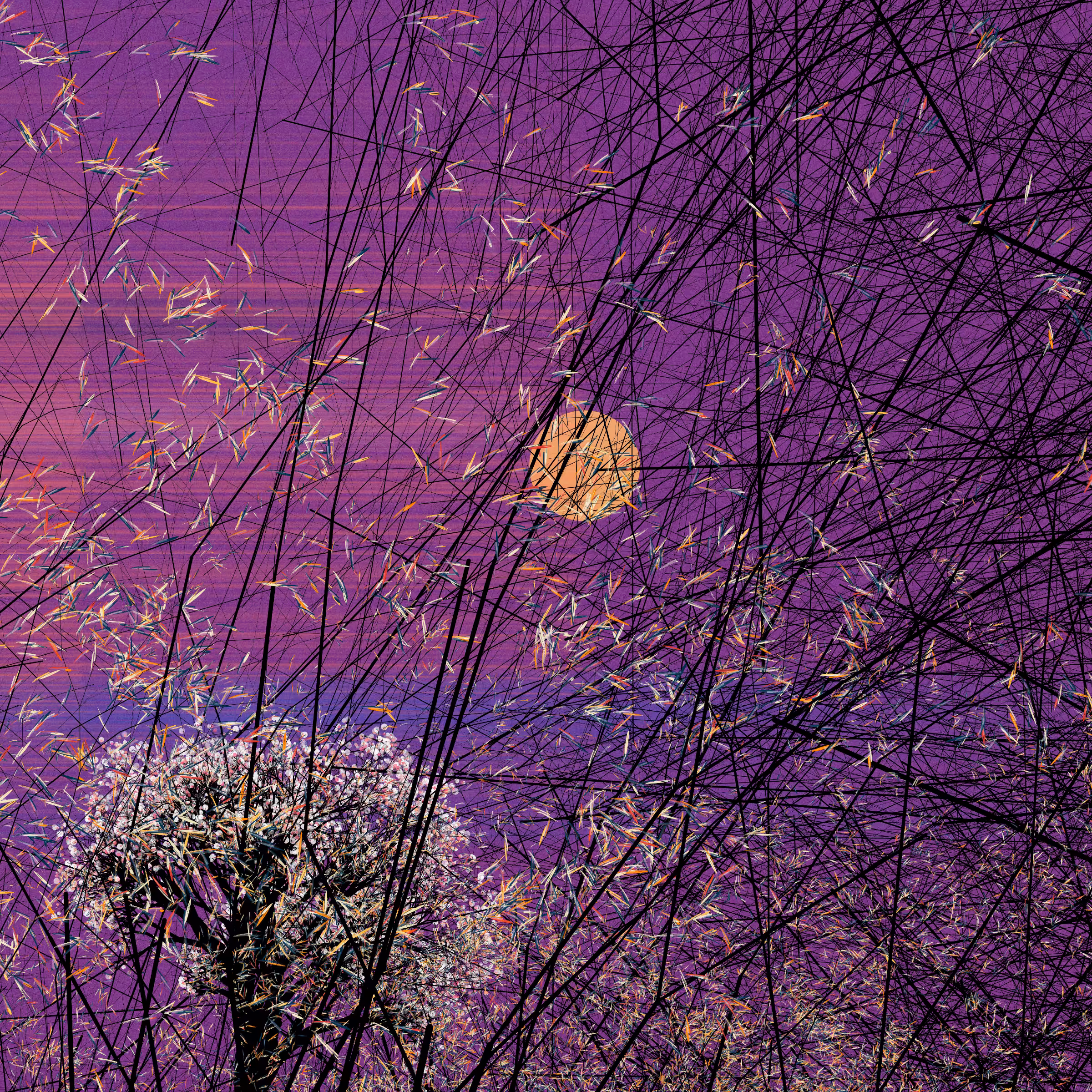 conversation with the wind #683