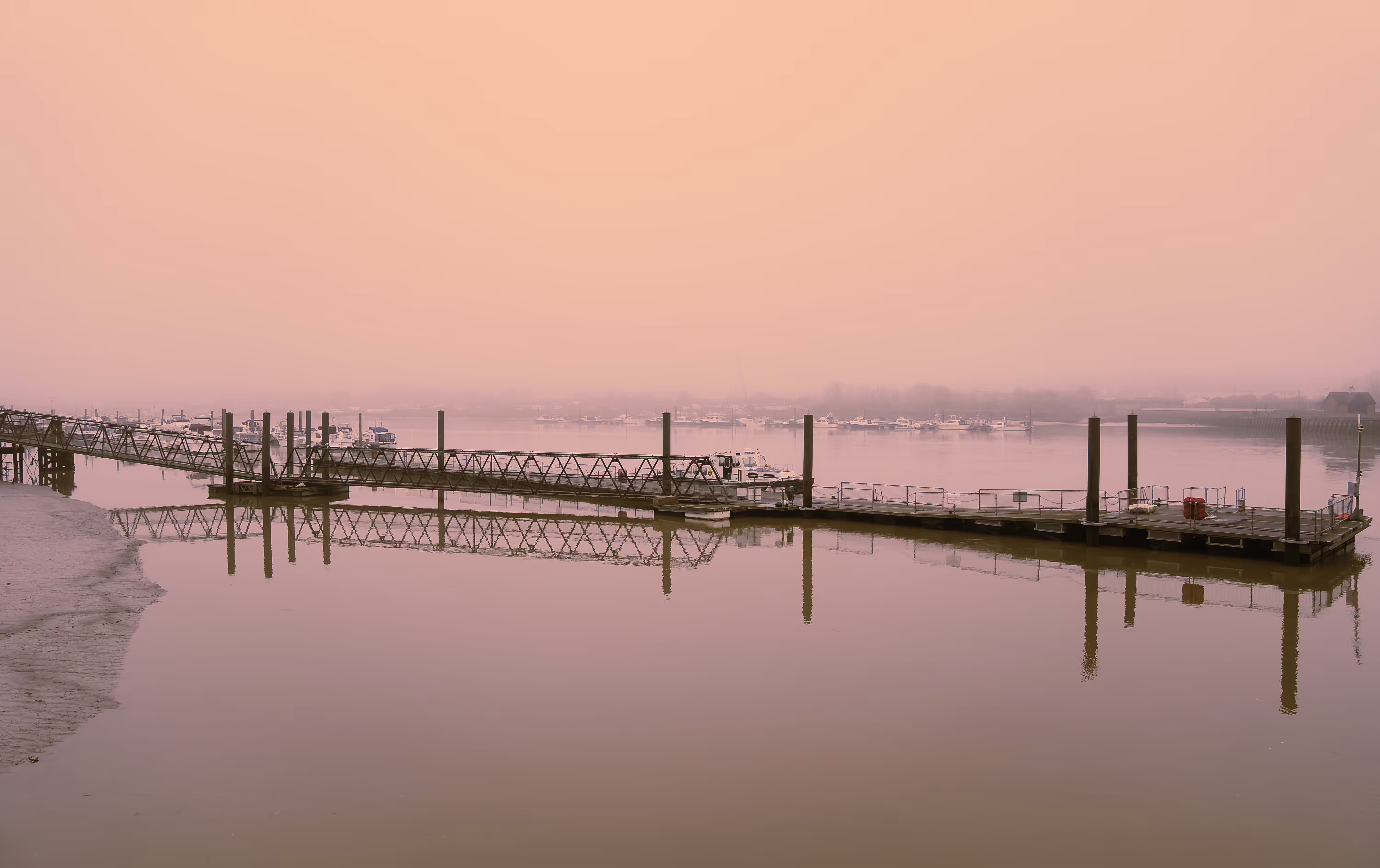 Pink Morning