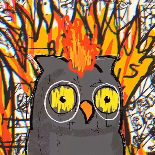 Basquibird #6