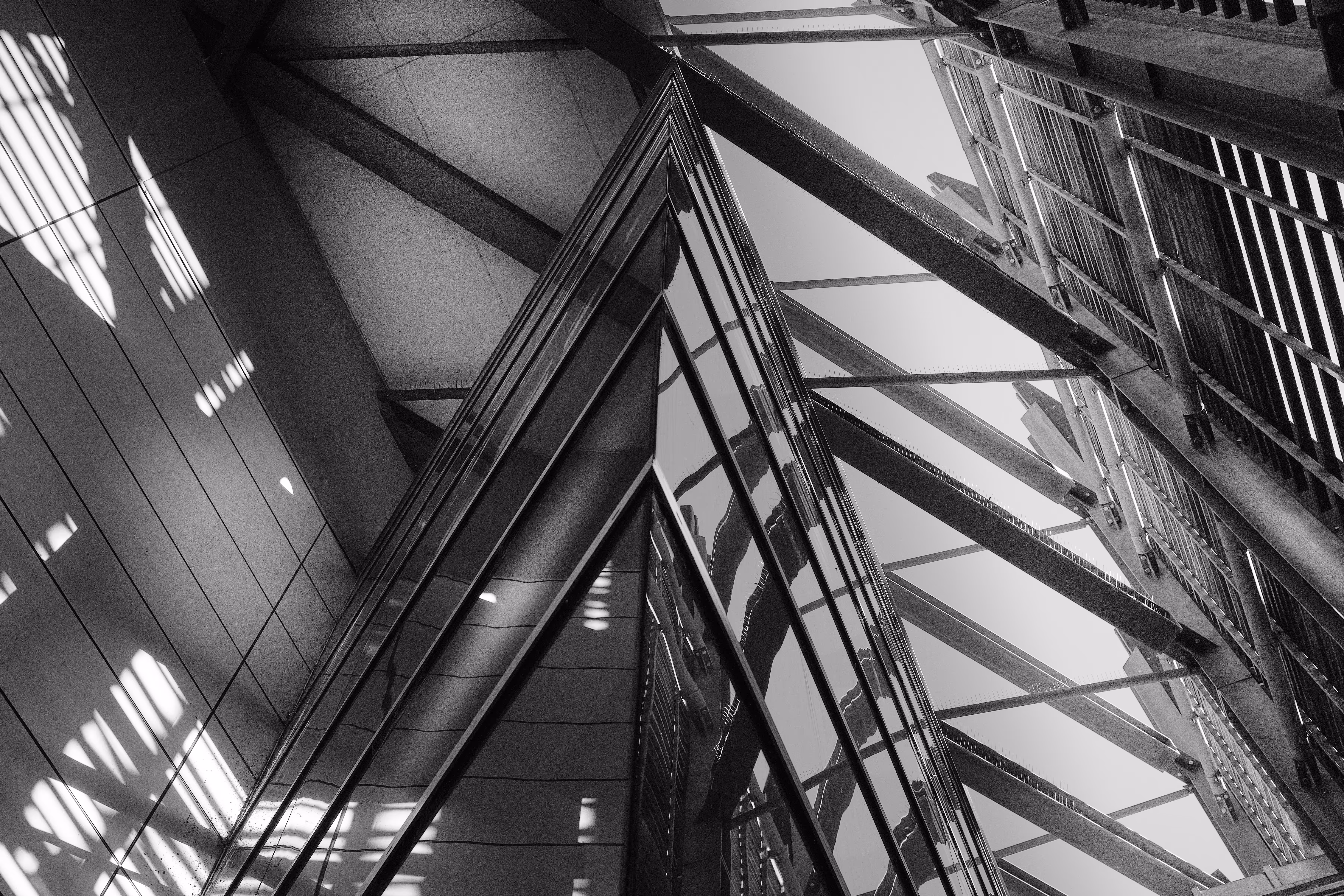 Black & White Photography