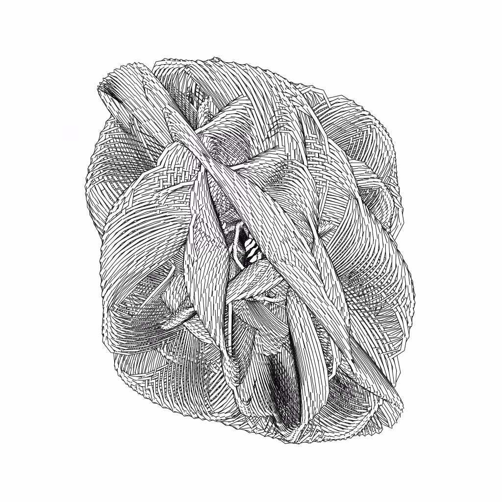 LL21 Entangled (3) #574