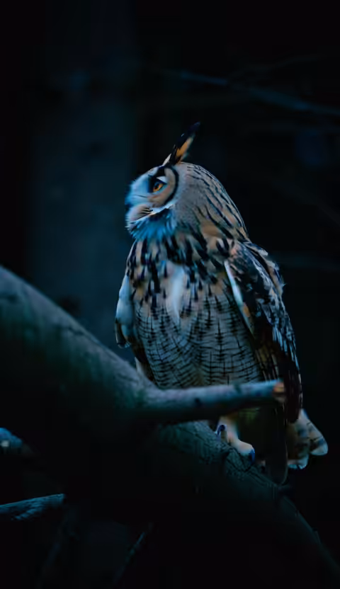 Inspiration Nature: Inspiration #51