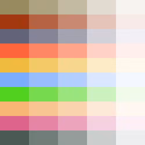 transparency #14