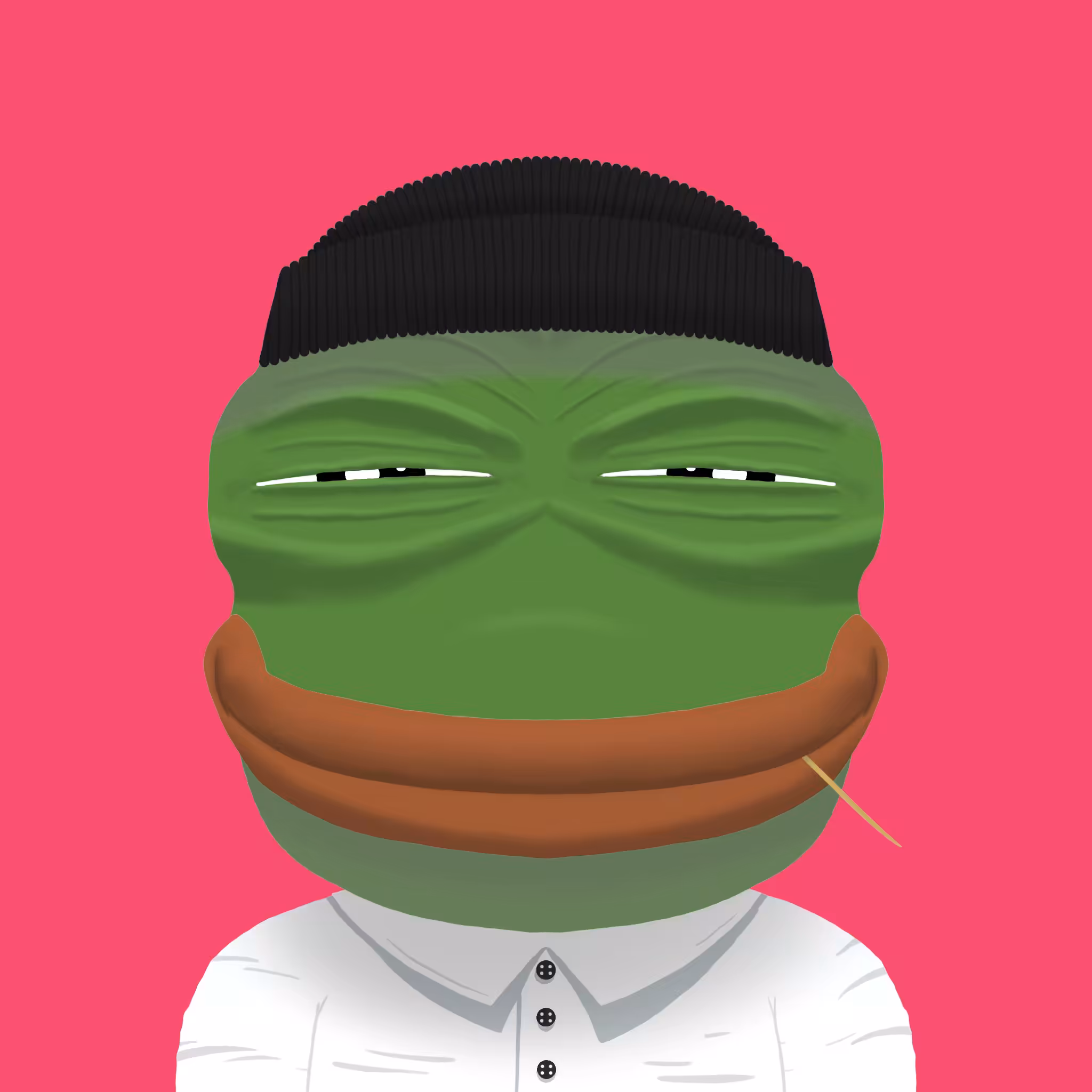 FROJI2D #90