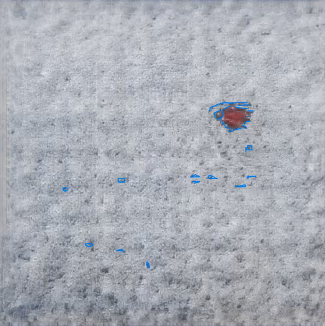 Footprints in desert