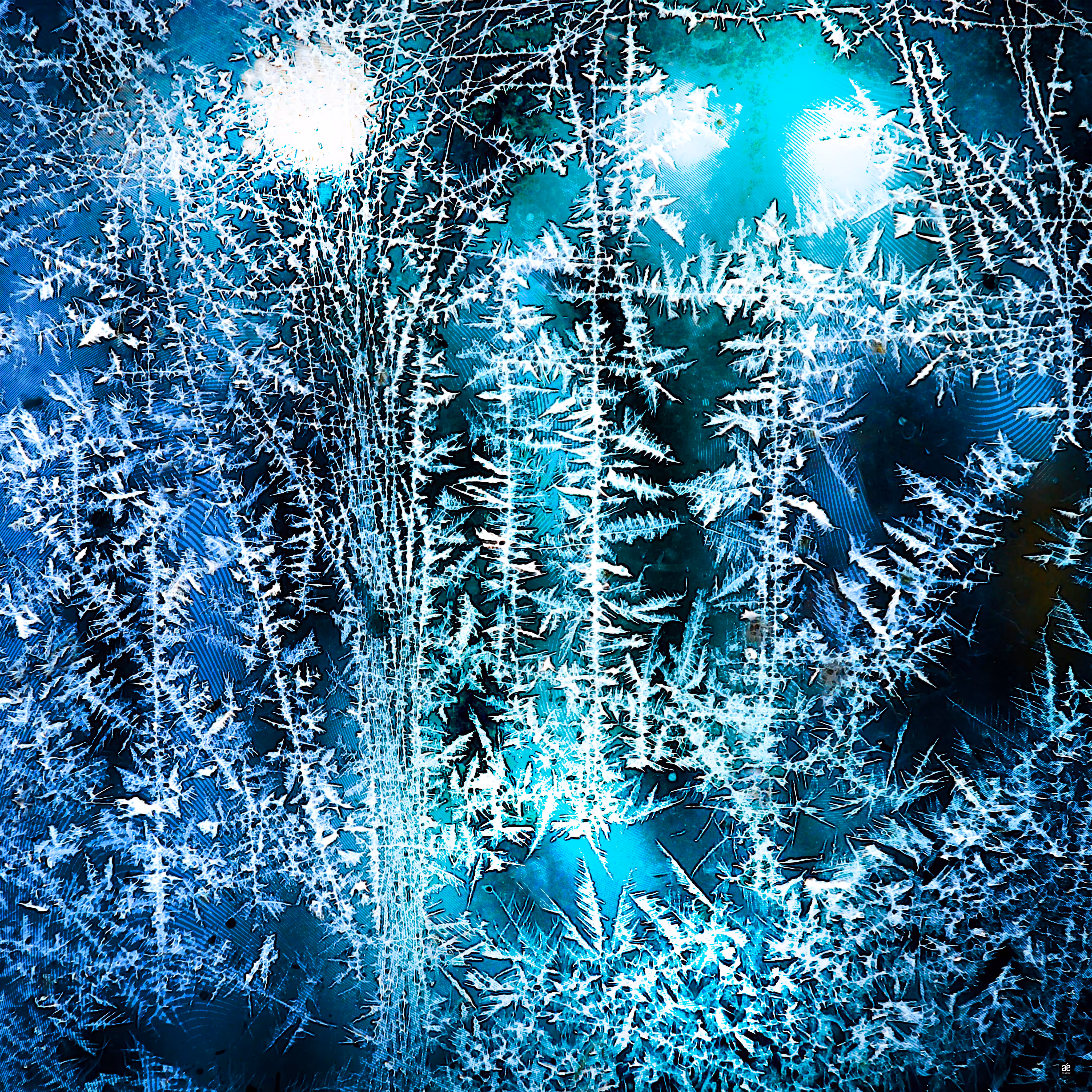 ICE GARDEN