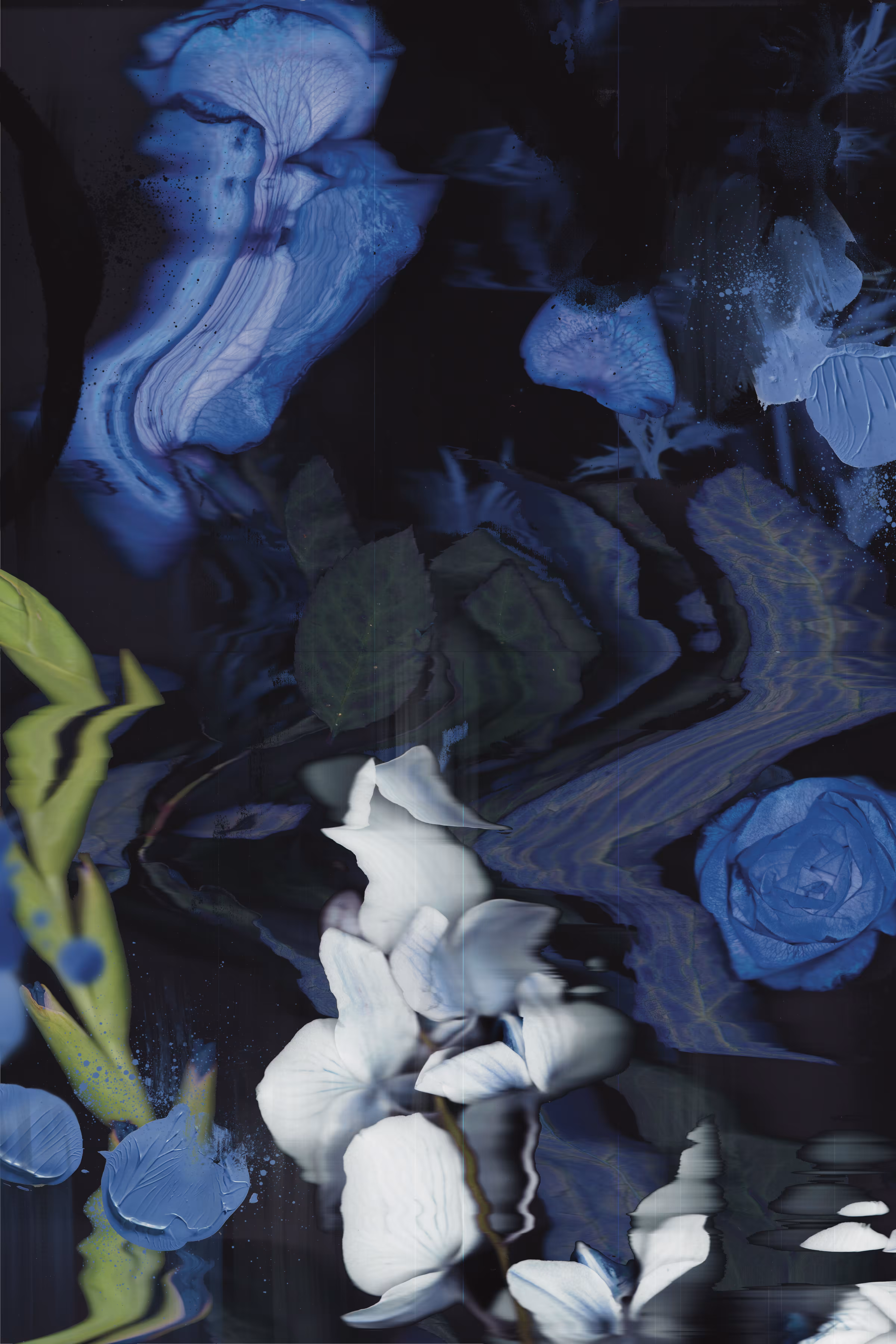 Blue Flowers Don't Wilt 1