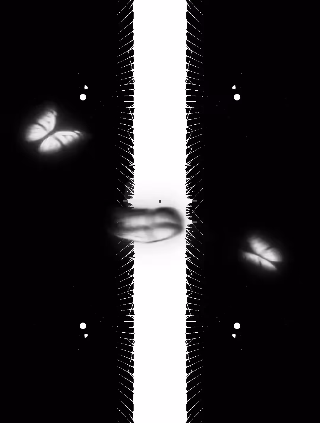 butterfly effect 