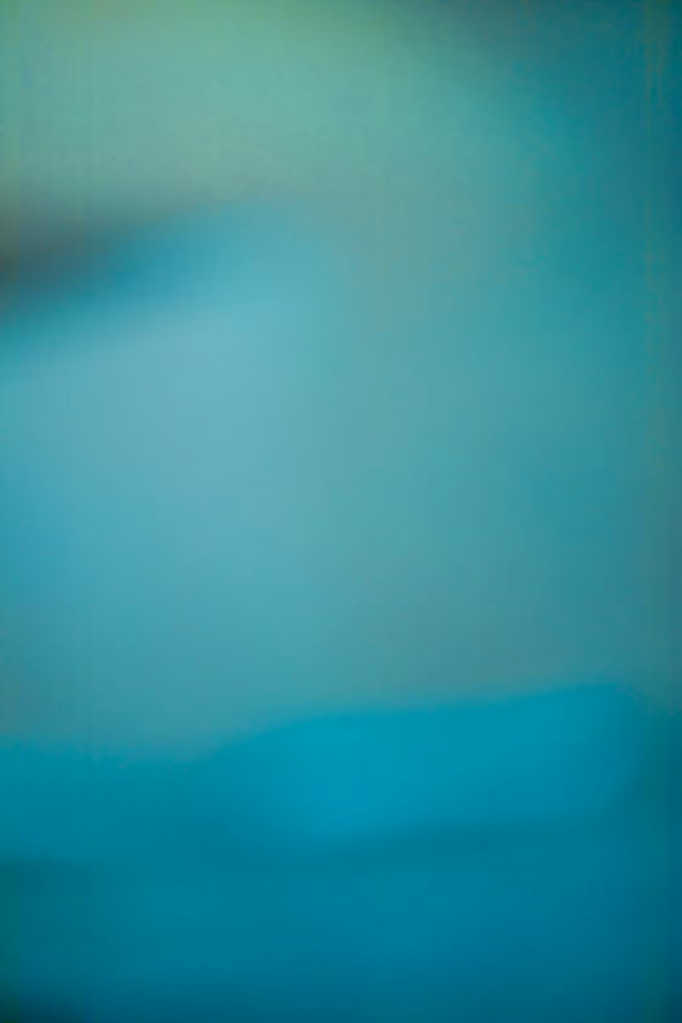 SALT 26