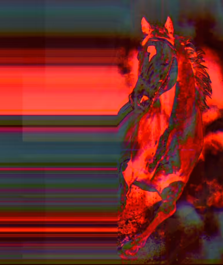 a horse with no name…