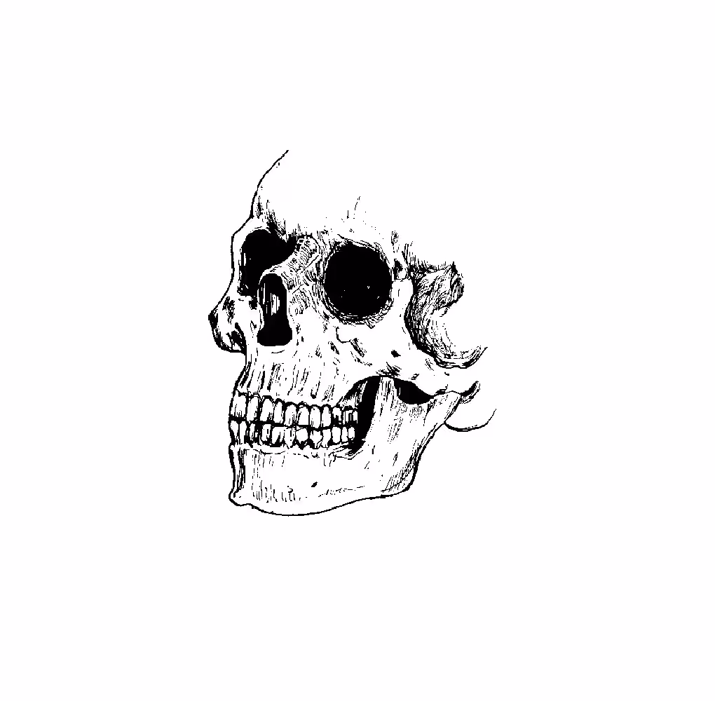 Curse of the noisy skull