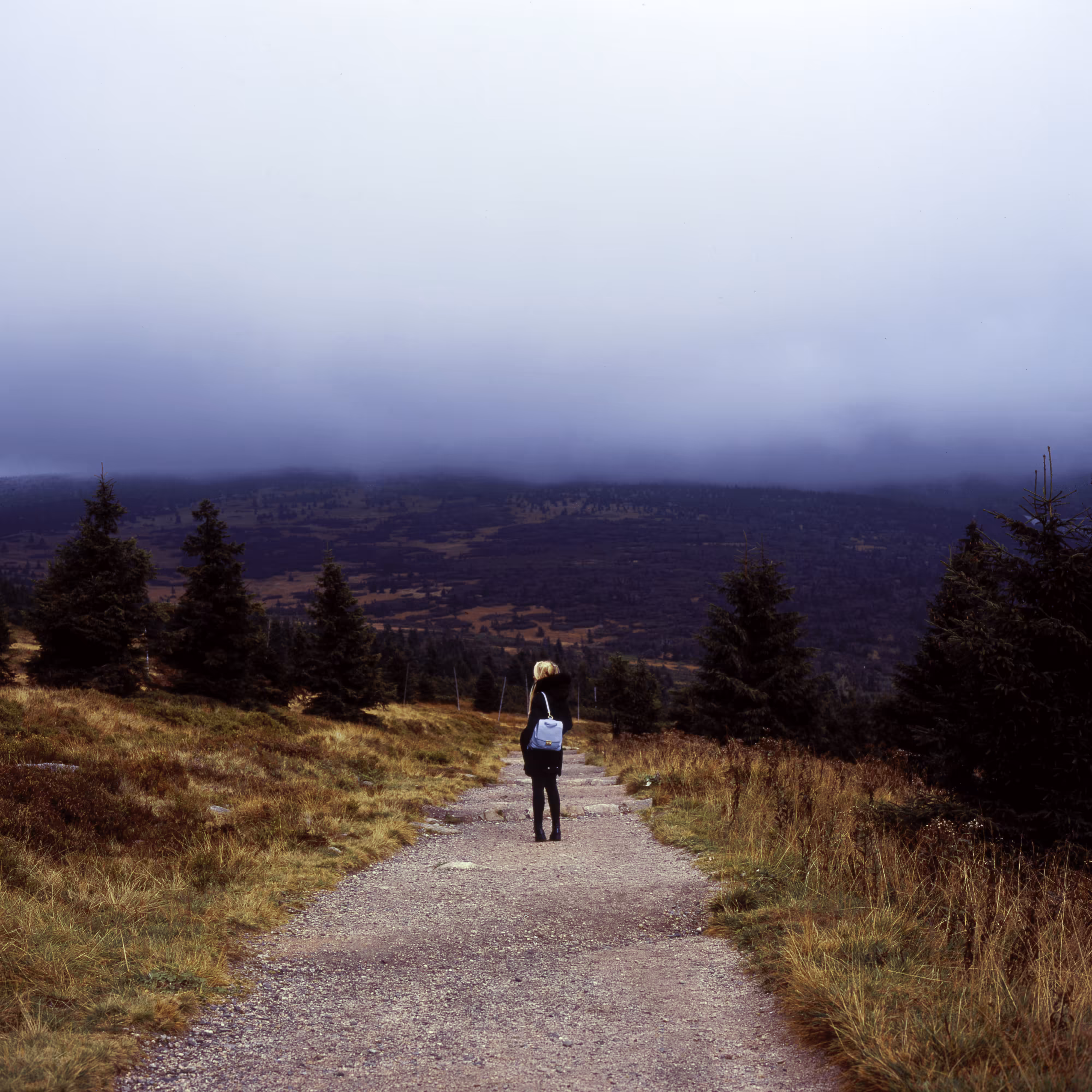 Road Untraveled #17