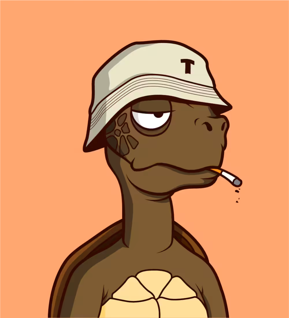 Tiny Turtle 85