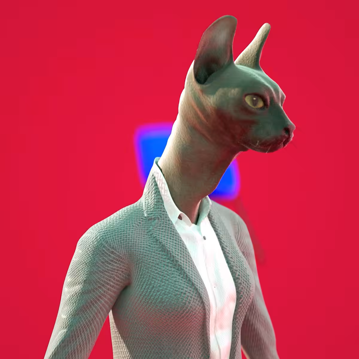 Sphynx Summer Collection