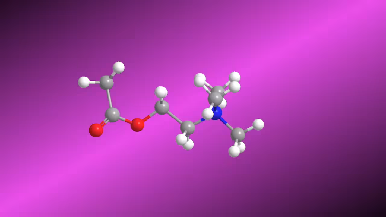 #004 - Acetylcholine