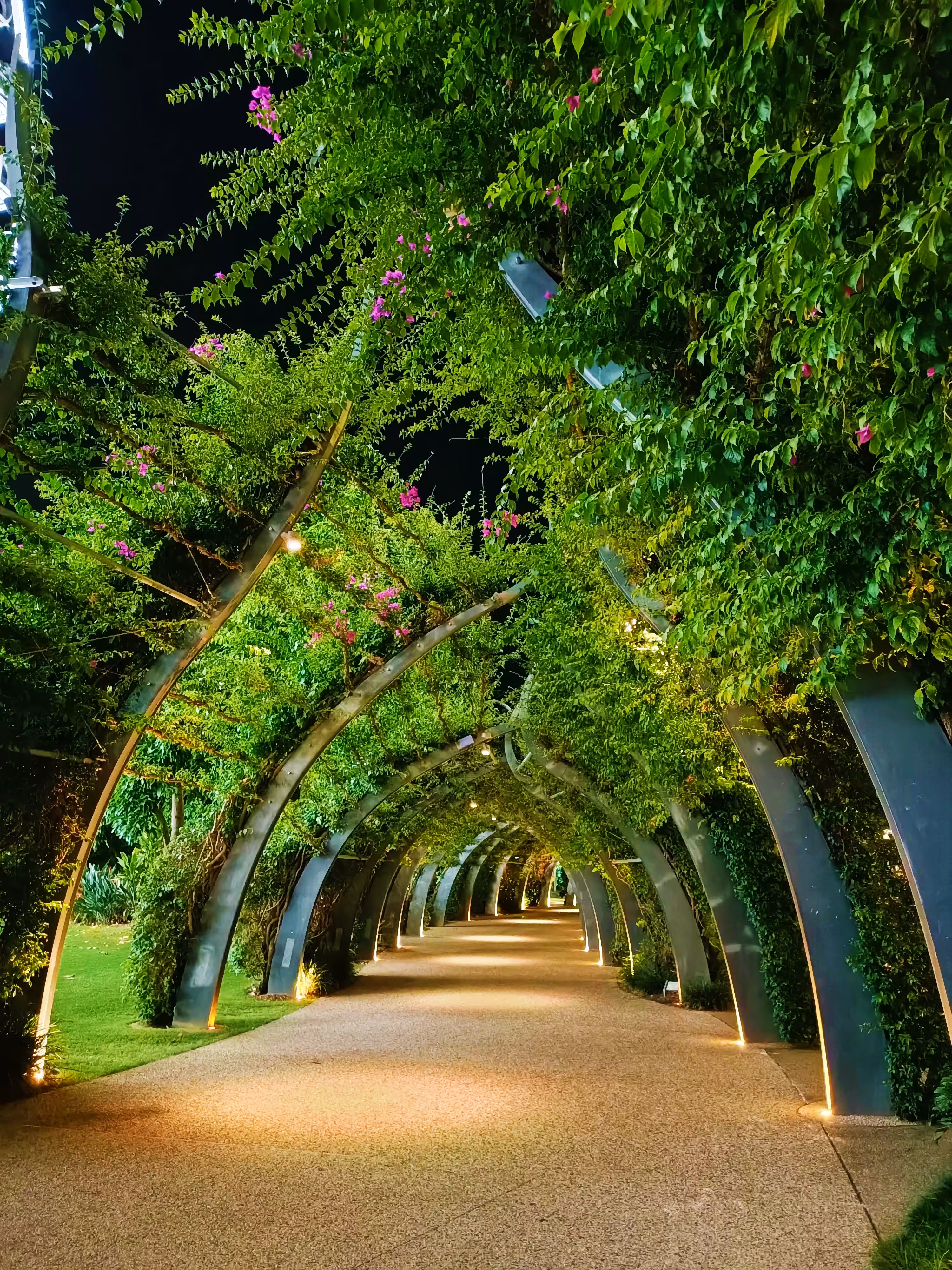 Romantic Walk