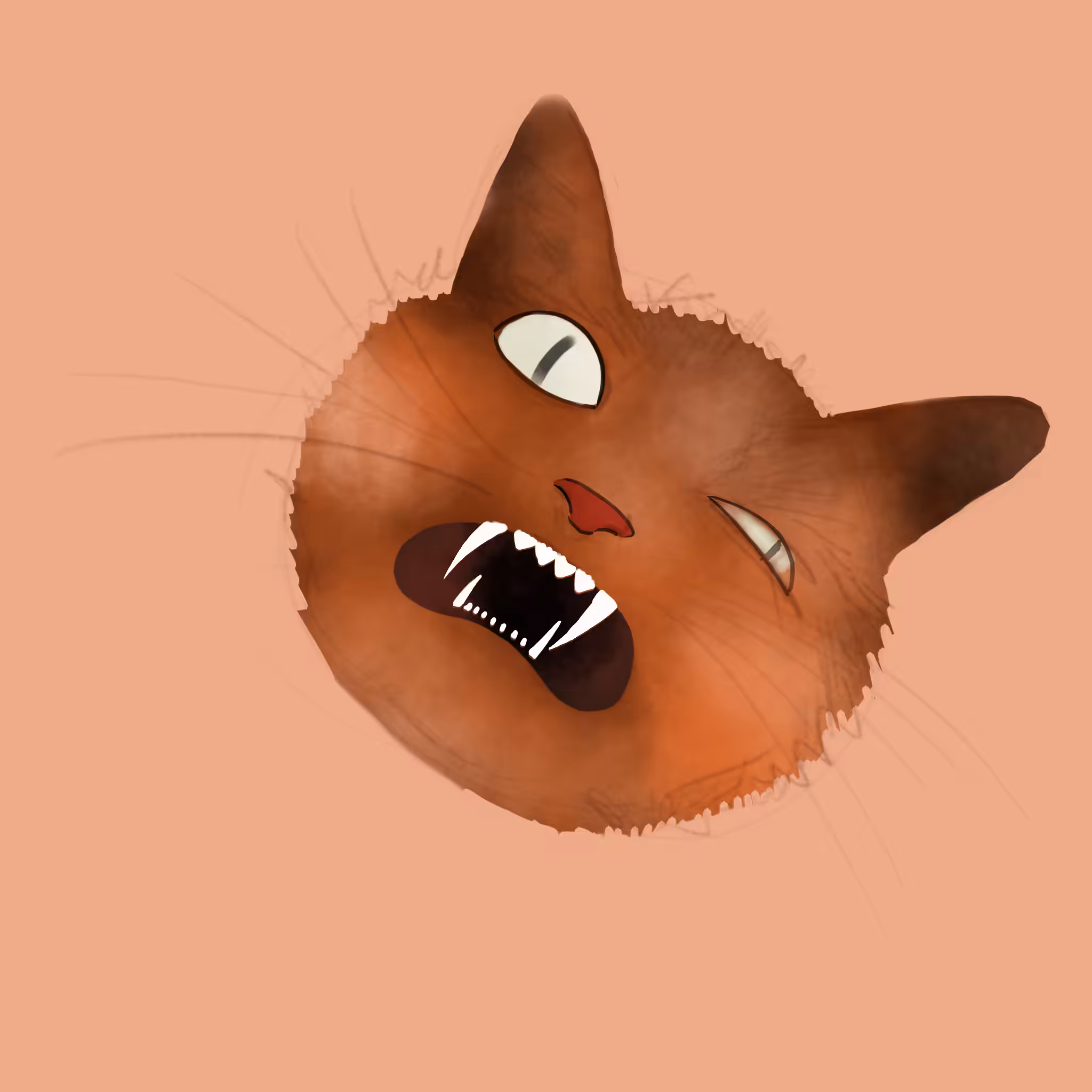 Gnarly Cat