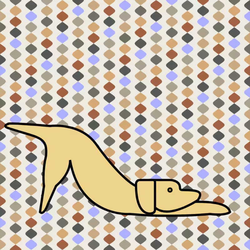 GOOD DOG #434