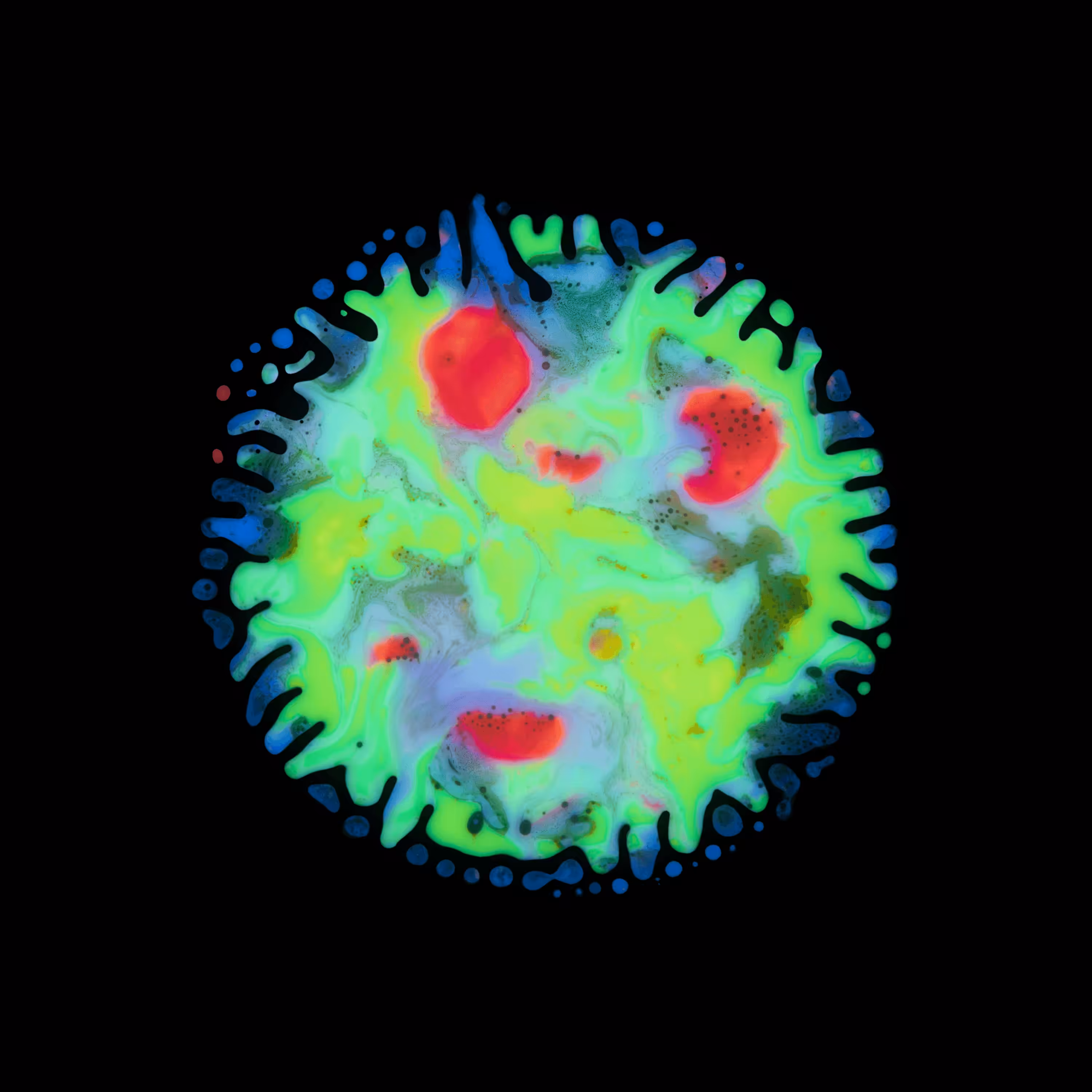 Haematopoiesis #13