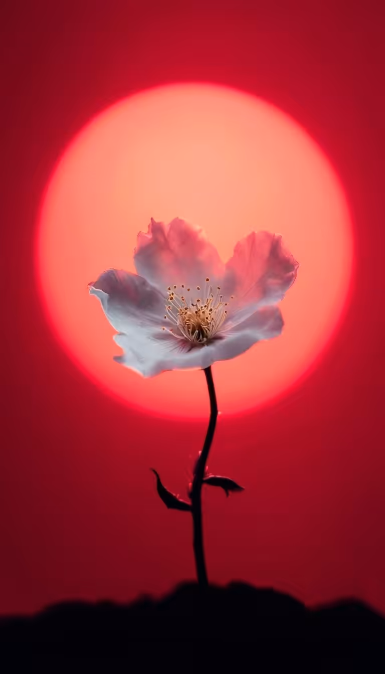 Ethereal Bloom