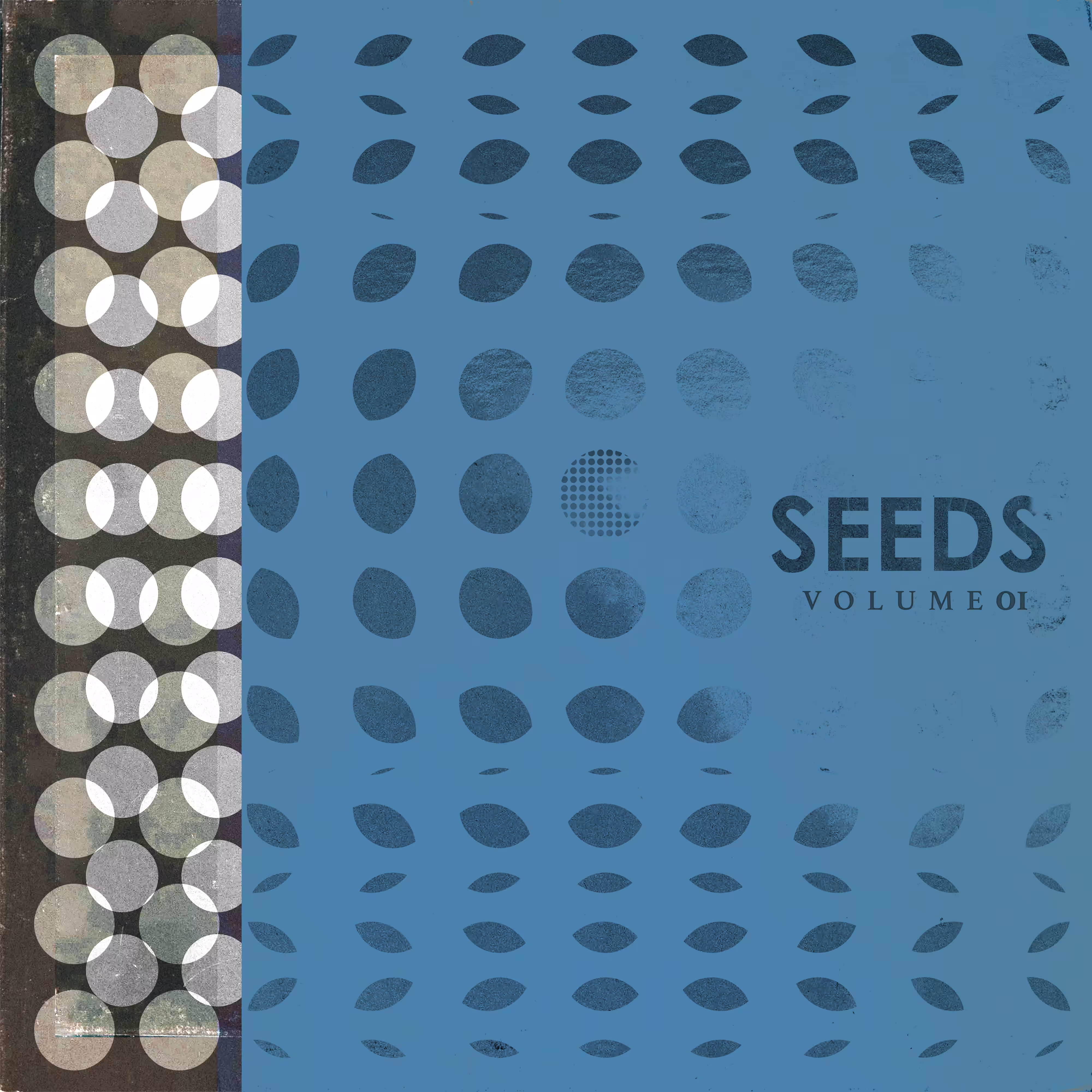 seed #10