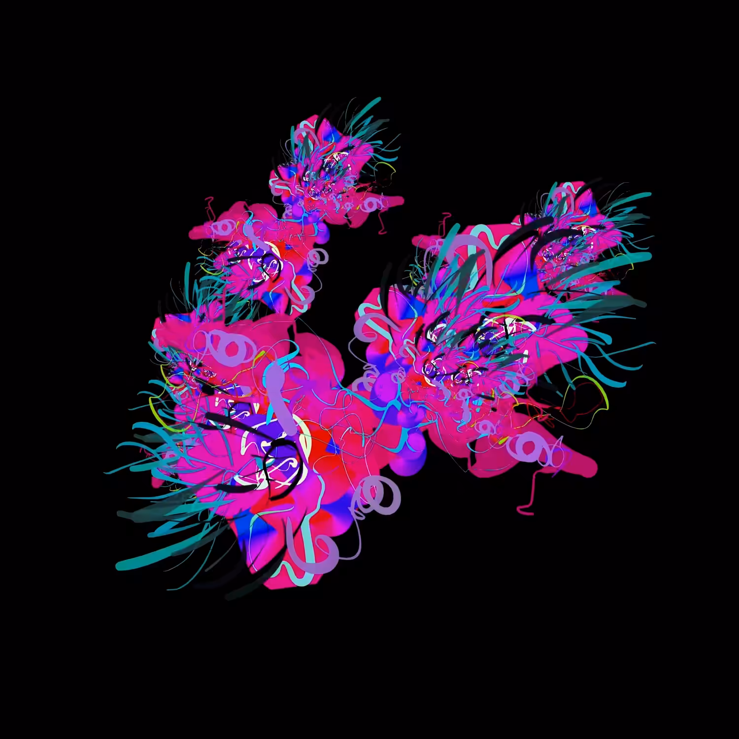 nudibranch