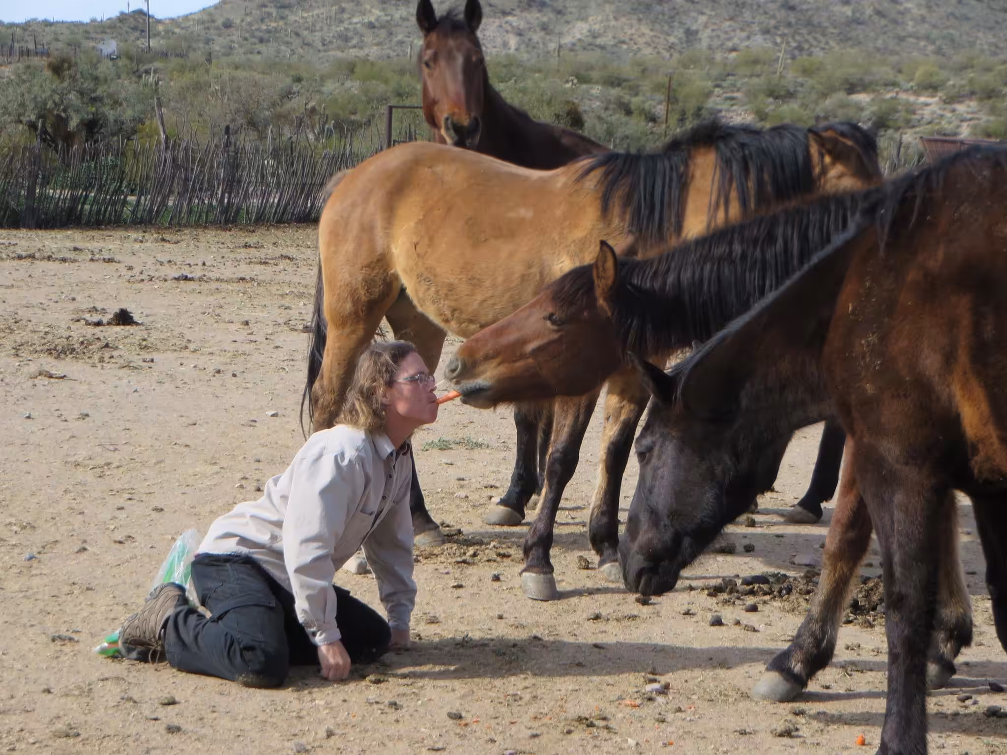 Horsing around at the TT Ranch. 