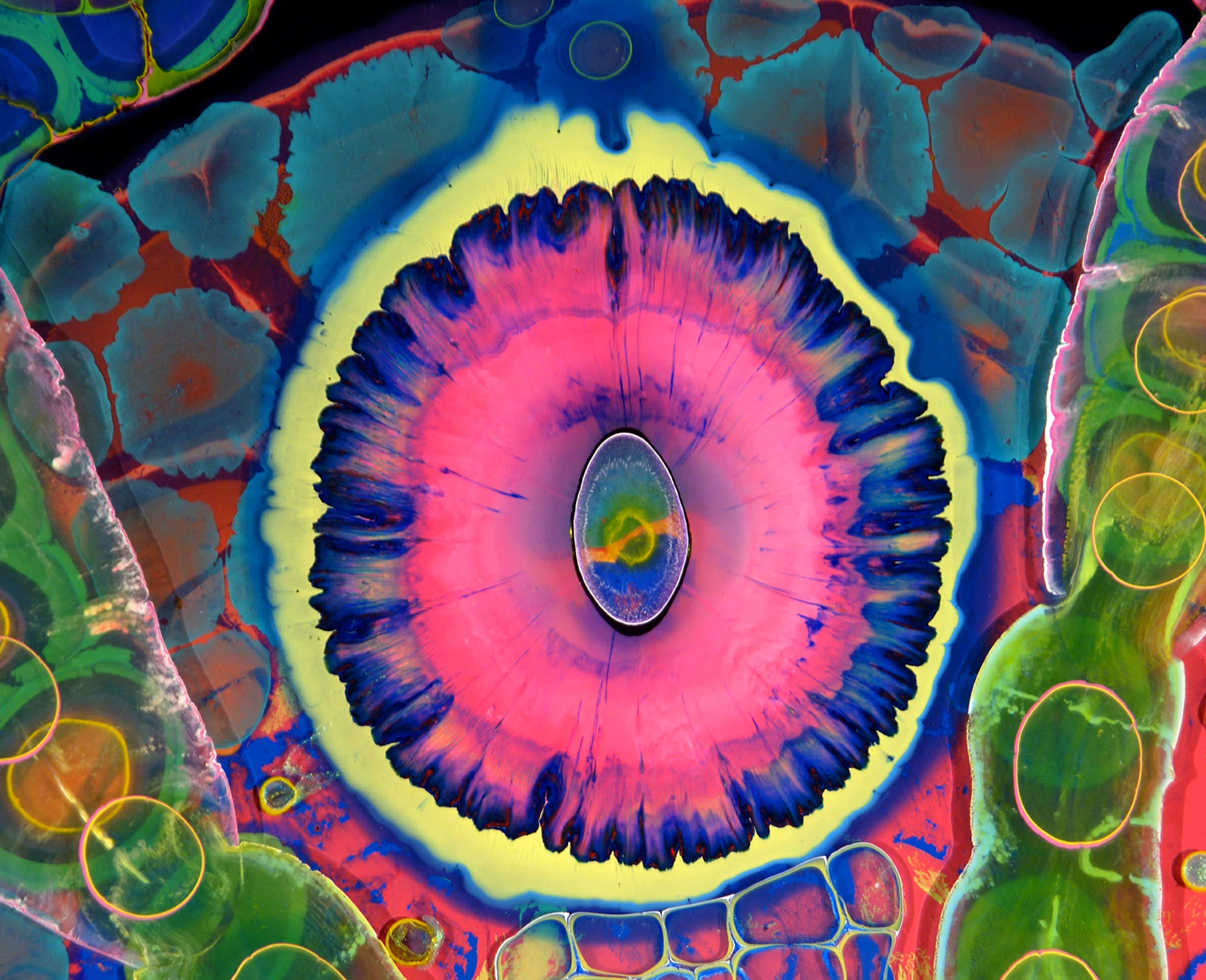 Portal