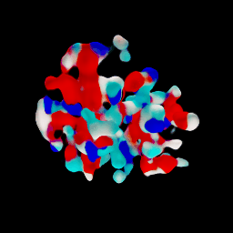 Transient Translation: Molecular Muse