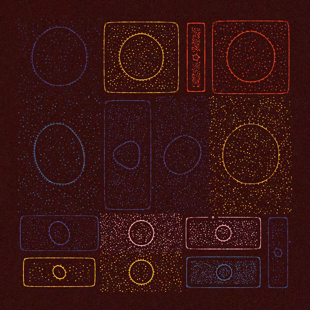 Microcosm #68