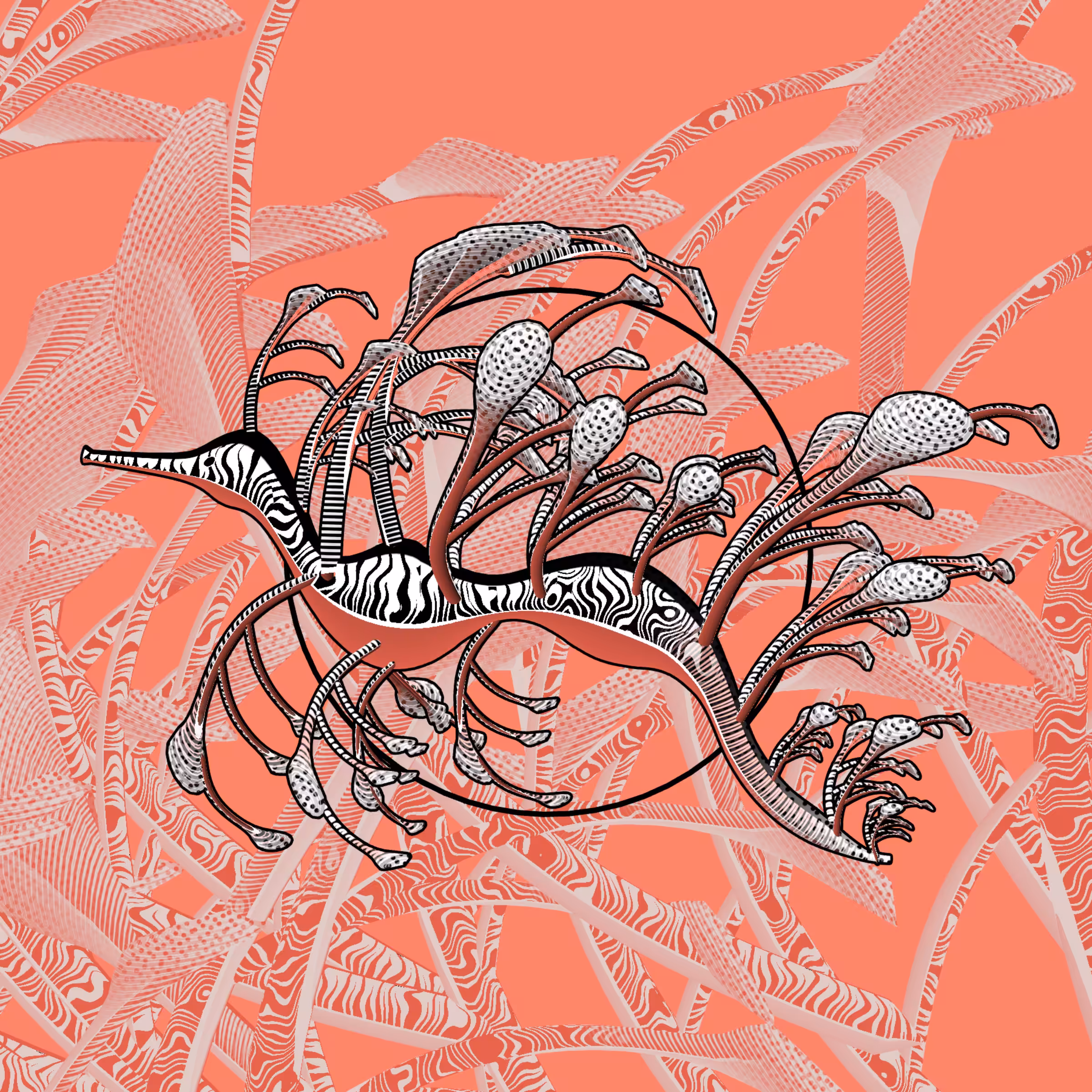 Seadragons #897