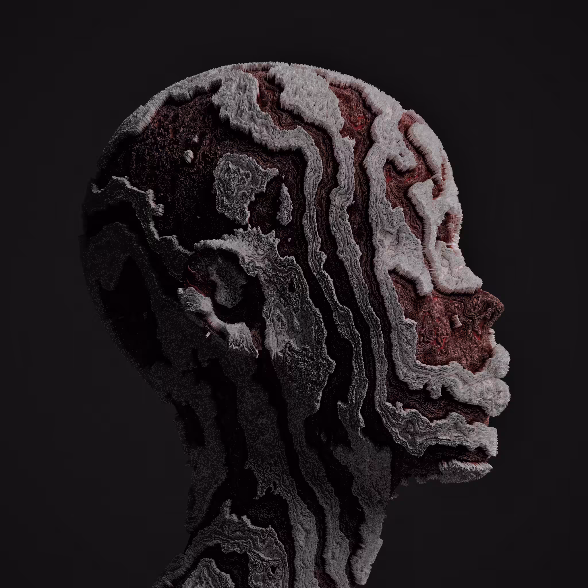ABSTRACT HEAD