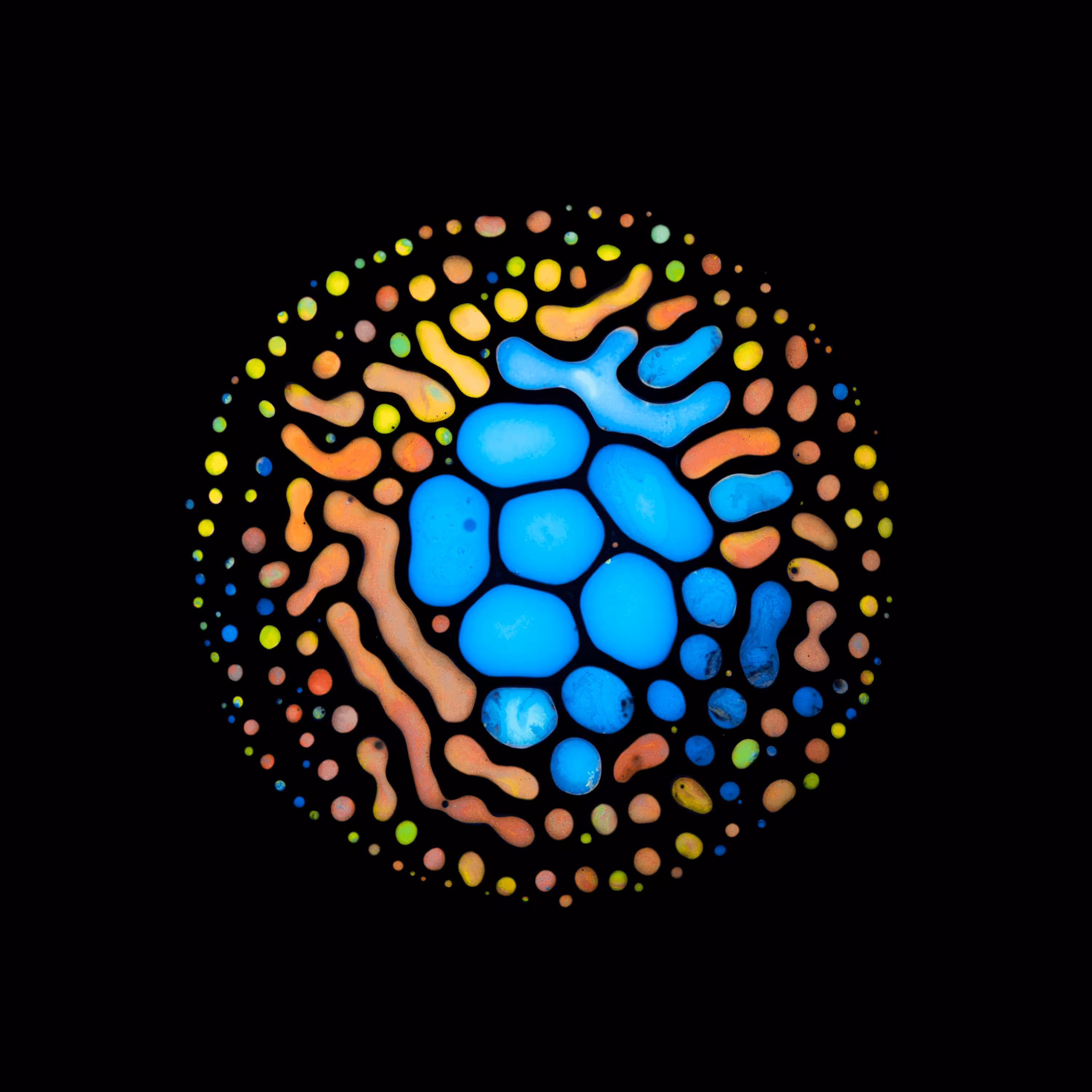 Haematopoiesis #136