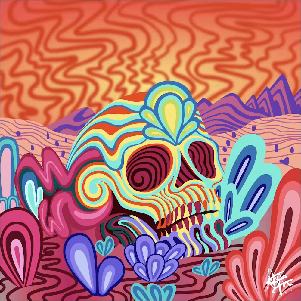 "Desperado Remix" (Mr. Melty x Bahska) 🔊