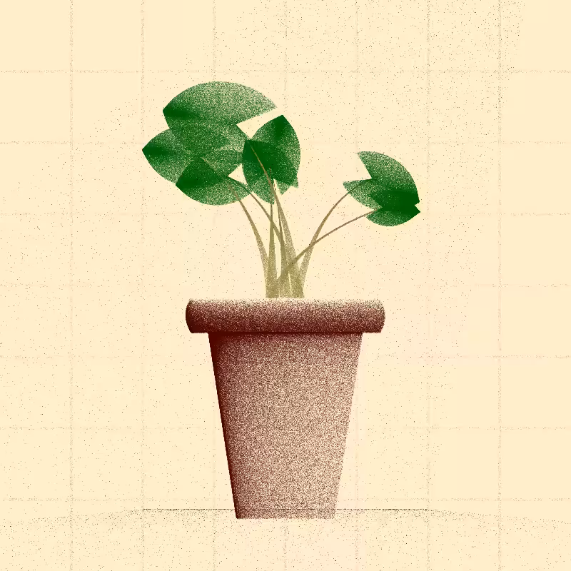 🌱 Potted & Printed #569