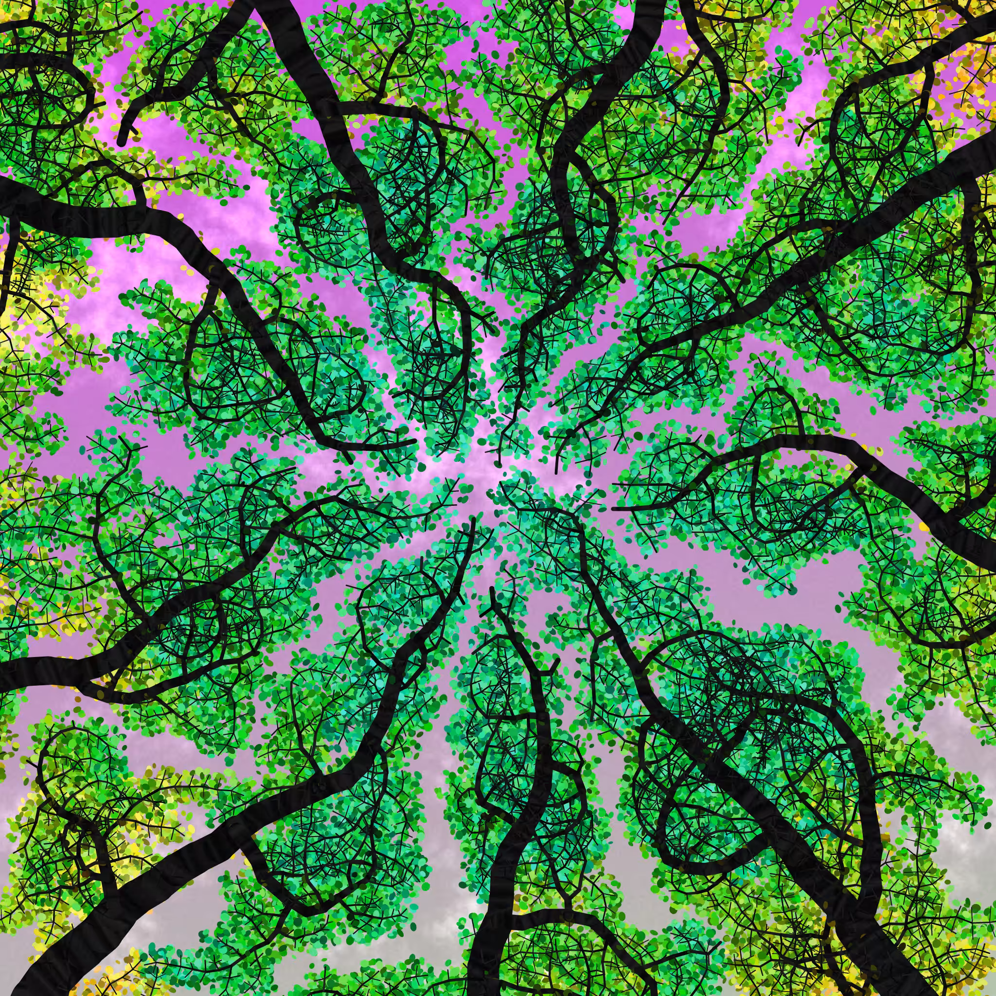 Tree Skyness #211