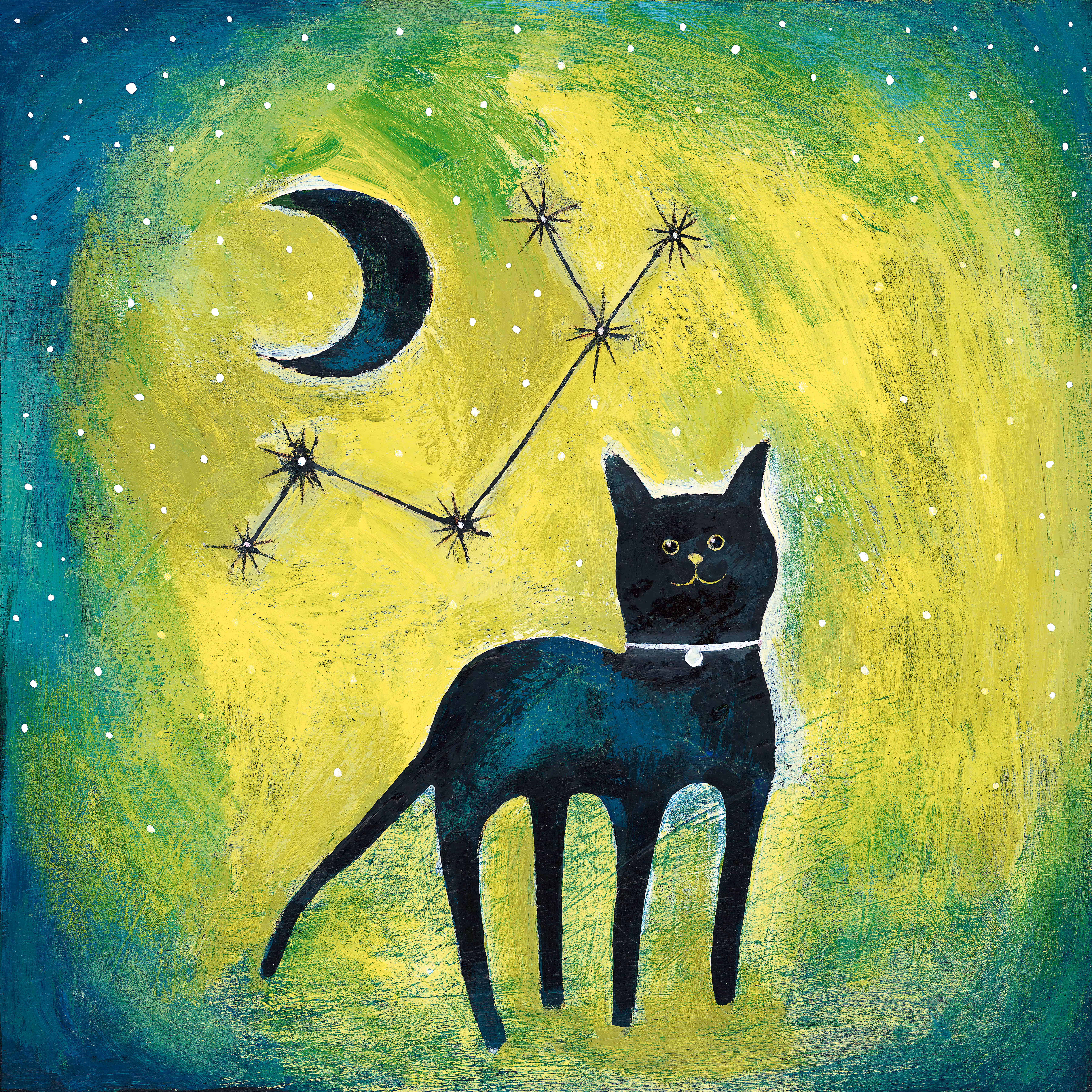The Moon and the Cat 23