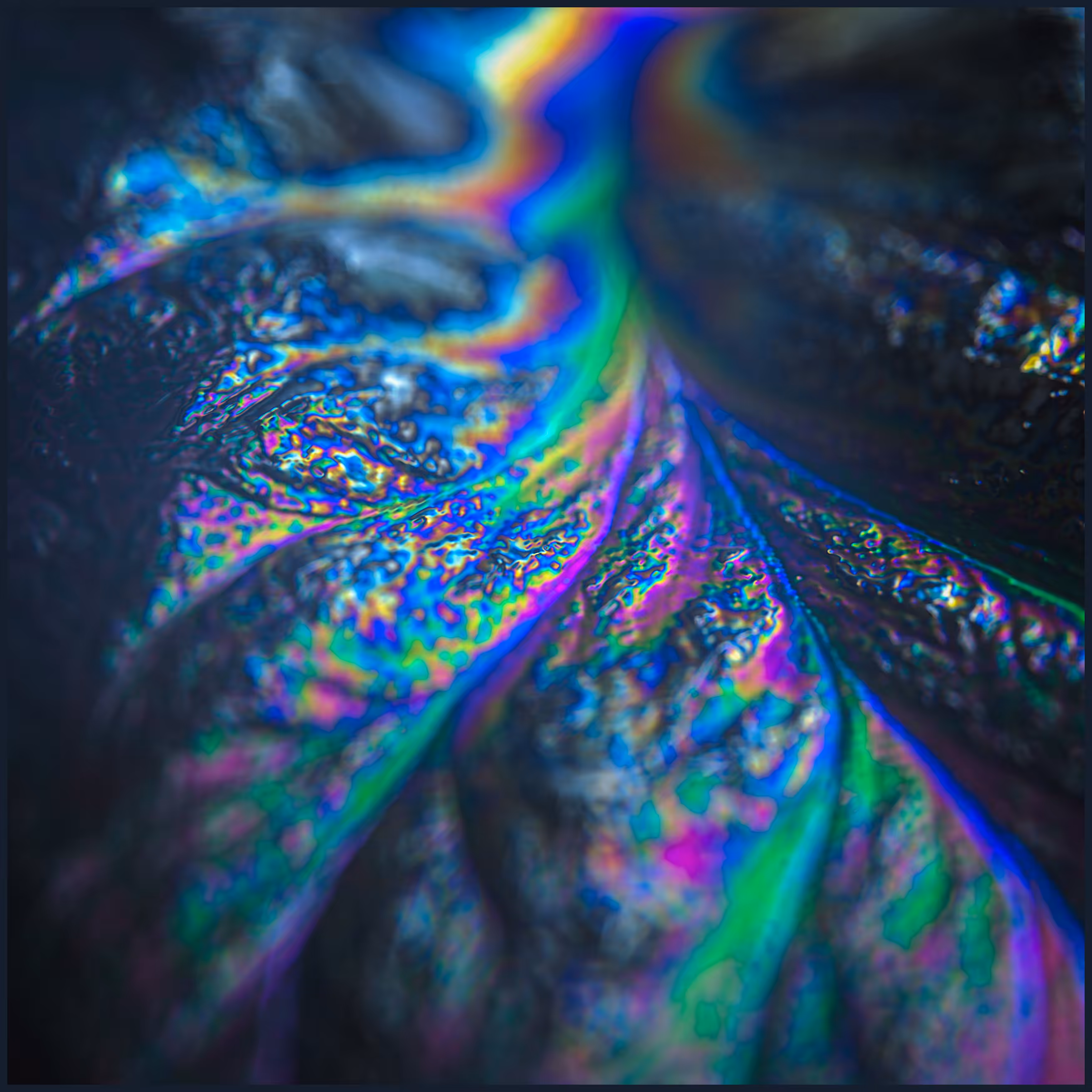 ____NEGATIVVE_LΛΛNDSCAPE_0184