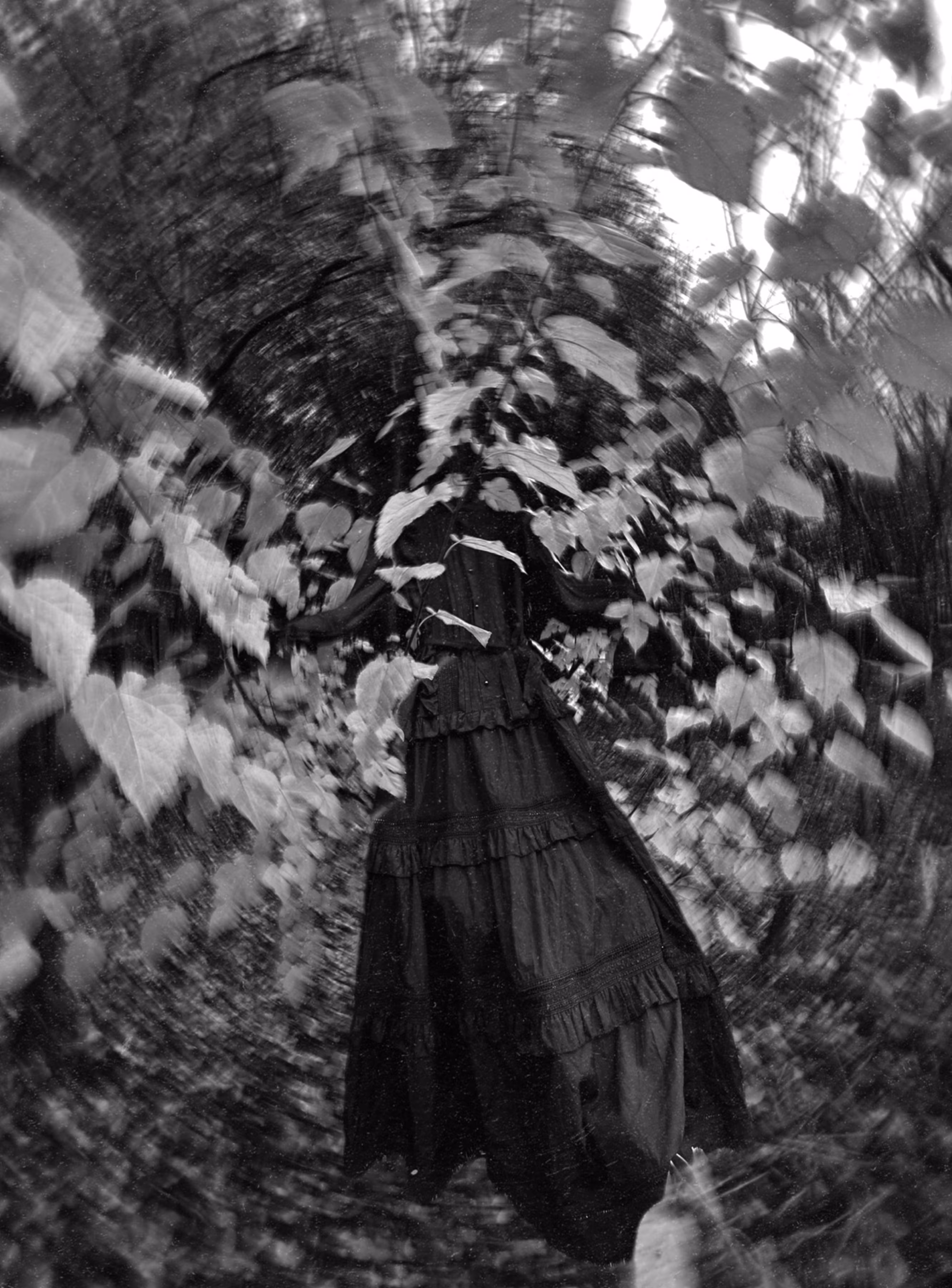 where the silence took you