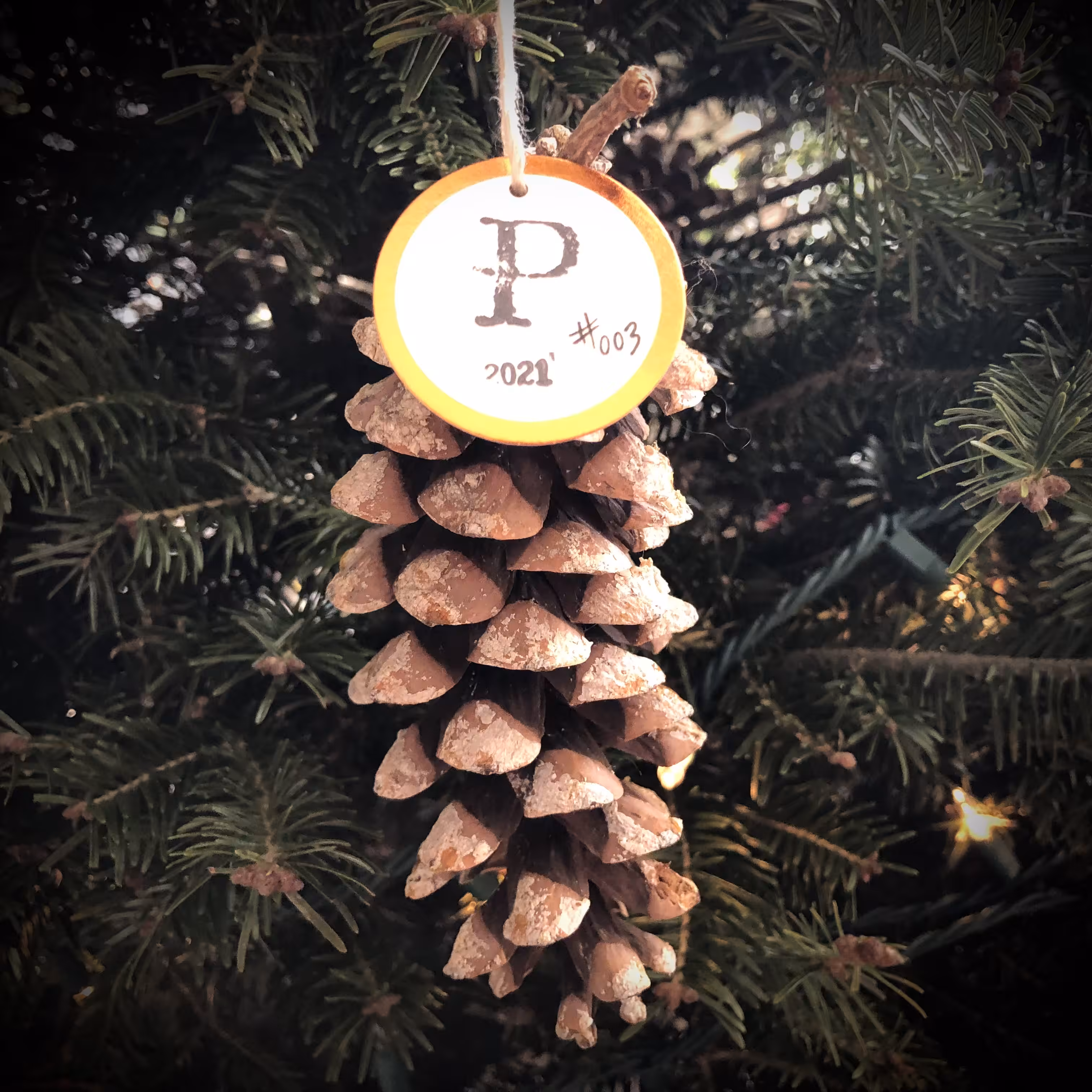 Pinecoin 2021 #003