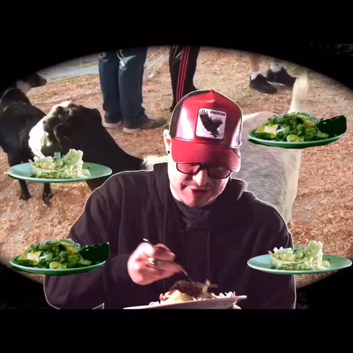 Salad Commercial Audition ASMR 003