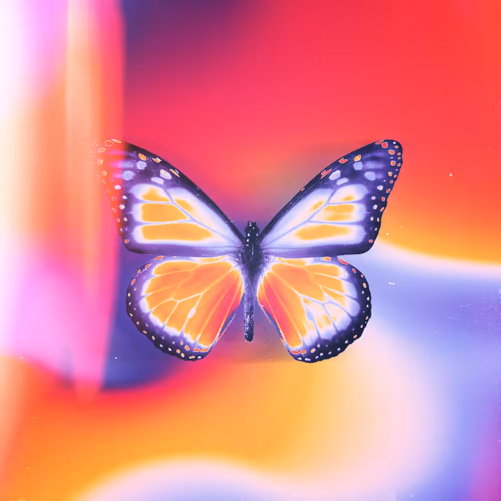 The Butterfly Effect - Cause
