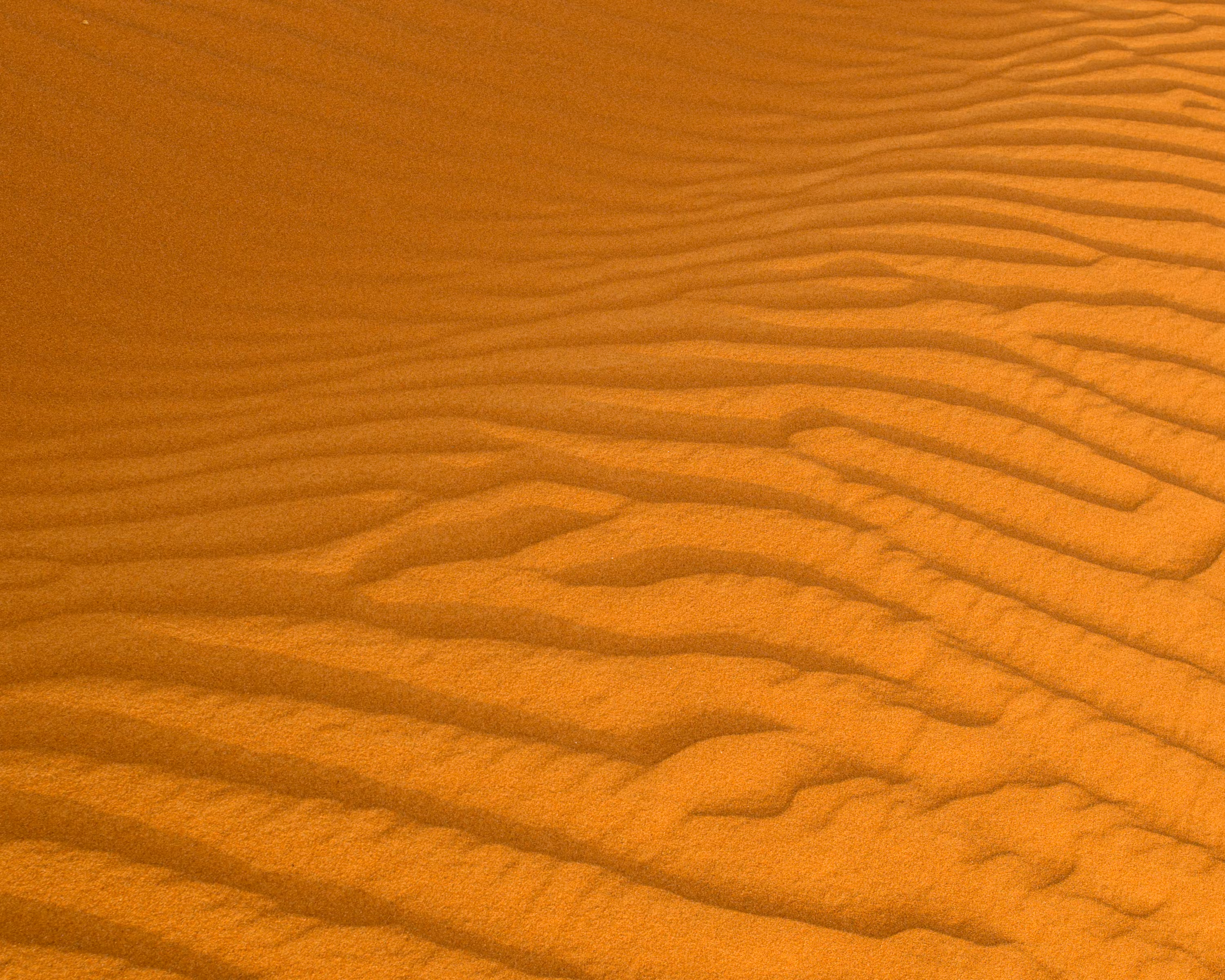 The Desert