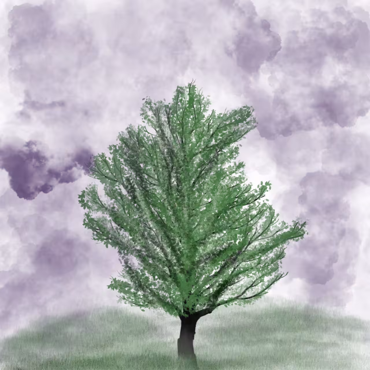 Tree of hope