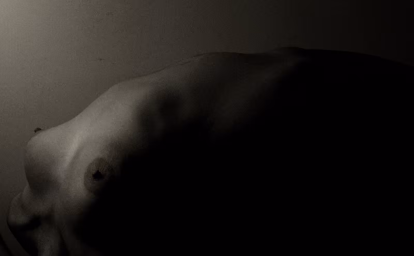Claroscuro.